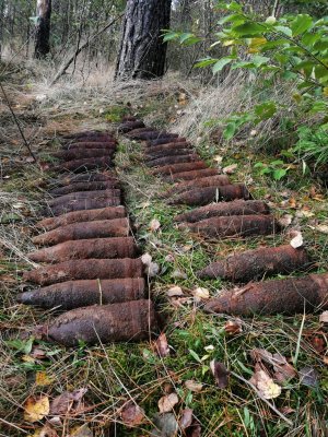 Kilkadziesiąt pocisków moździerzowych z widoczną korozją leżących w dwóch rzędach na ściółce leśnej.