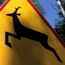 Znak ostrzegawczy zwierzyna leśna. Czarny rysunek jelenia na żółtej tarczy z czerwoną obramówką. W prawym górnym rogu niebieskie niebo.