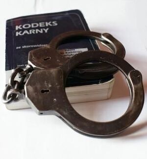 kadjdanki i kodeks karny