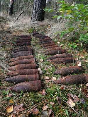 Kilkadziesiąt pocisków moździerzowych z widoczną korozją leżących w dwóch rzędach na ściółce leśnej.