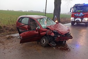 Miejsce zdarzenia drogowego. Na pierwszym planie stojący na jezdni rozbity samochód osobowy marki Suzuki koloru czerwonego, po prawej stronie wóz strażacki, w tle drzewo i pole. Pora dzienna.