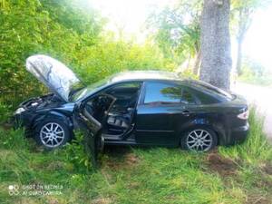 Pora dzienna. Na pierwszym planie rozbite auto osobowe. Otwarta pokrywa silnika i przednie drzwi. W tle krzaki i drzewo.