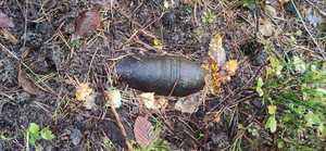 Granat moździerzowy leżący na mchu i liściach.