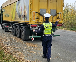 Policjant podczas kontroli drogowej ciężarówki.