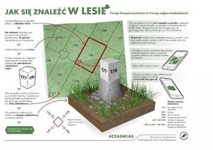słupek oddziałowy w lesie