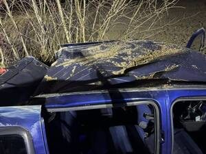 Nietrzeźwy 52-latek zakończył podróż w przydrożnych krzakach