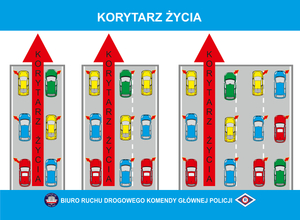 Korytarz życia - grafika jak utworzyć