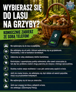 Plakat Wyprawa na grzyby? Pamiętaj o podstawowych zasadach bezpieczeństwa