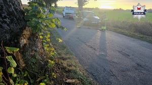 Zdarzenie drogowe w pobliżu Gołębiewa. Rozbite auto na drodze.
